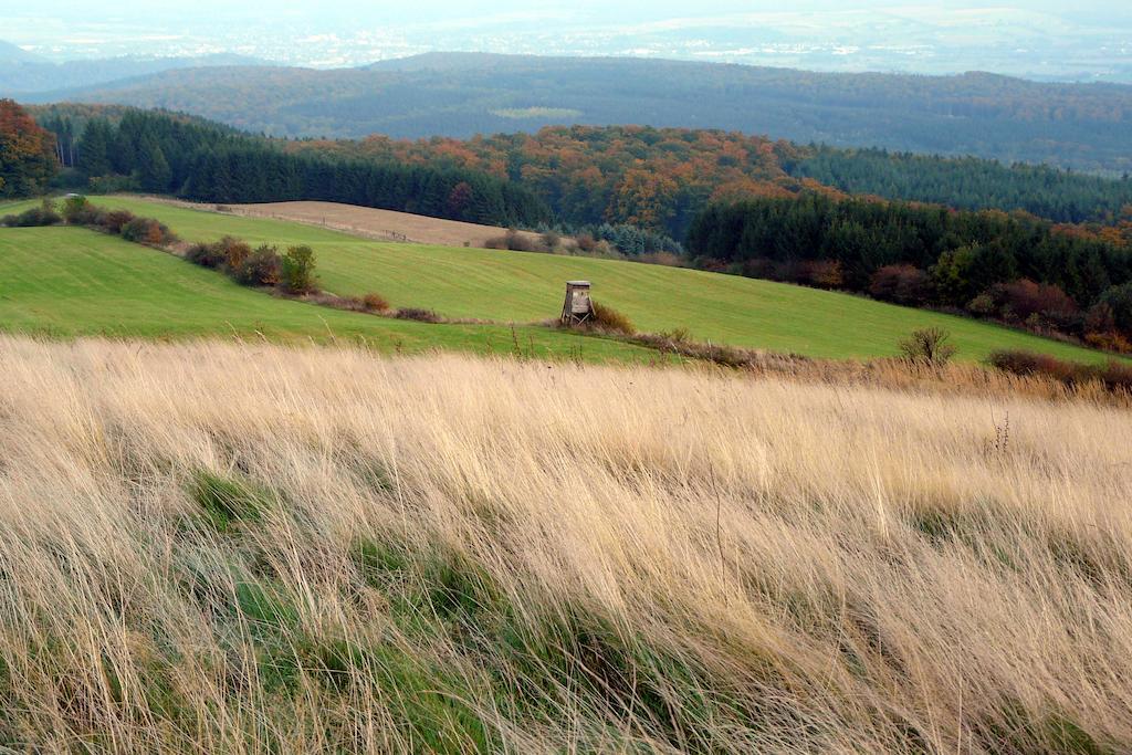 Gaestehaus Am Raeuschenberg ヘクスター エクステリア 写真